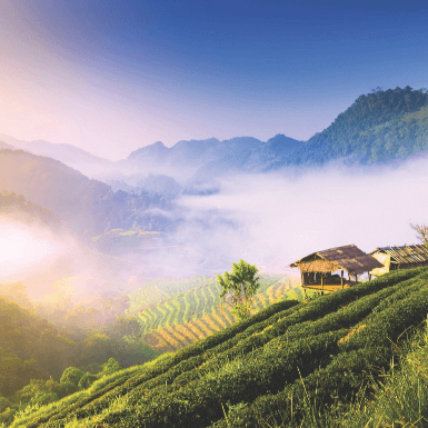 chiang mai landscape 2